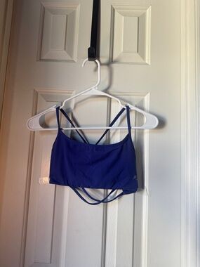 Peachy Athletic Blue Strappy Crop Sports Bra